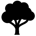 Tree Logo.gif